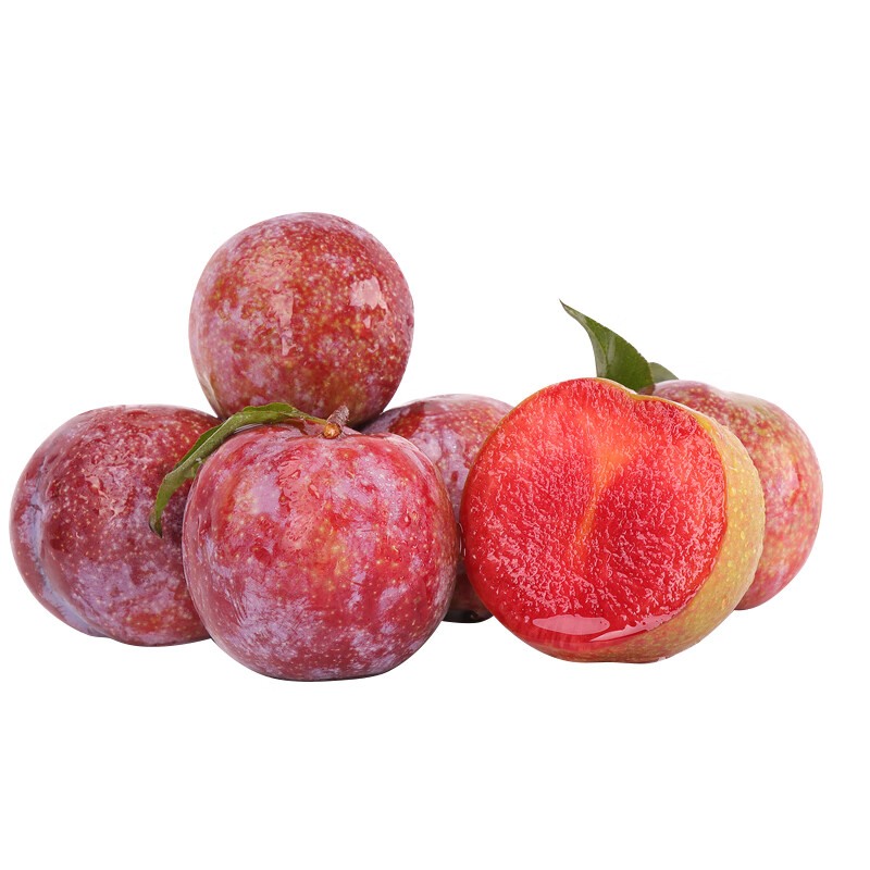 ʳϻ10ʳ紺