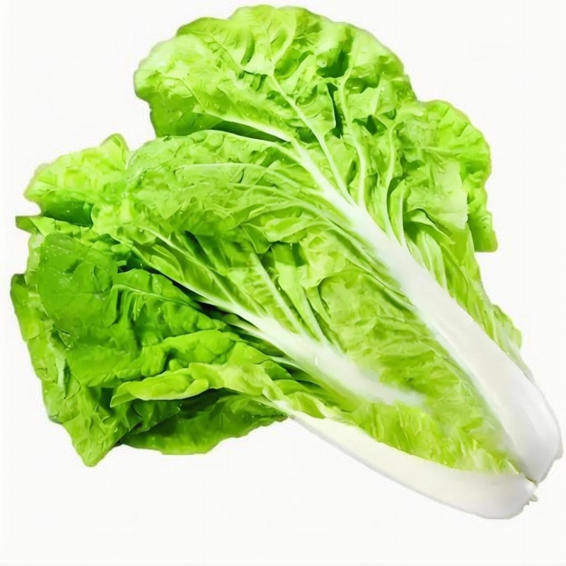 ˮײ